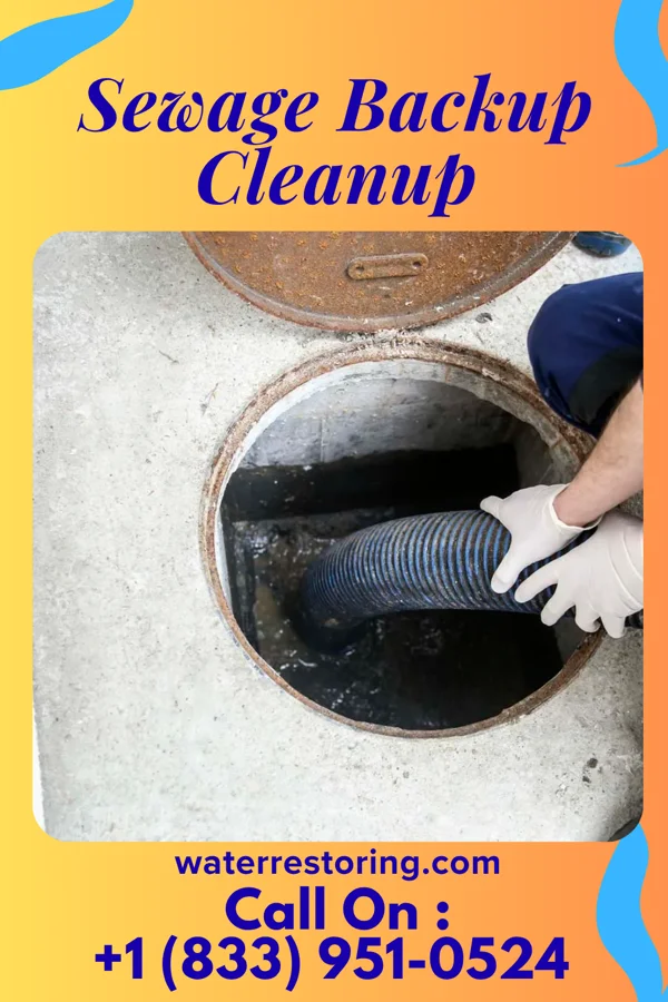 Sewage Backup Cleanup in Caribou, ME