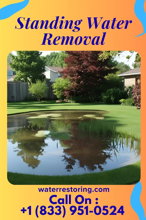 Standing Water Removal in Caribou, ME